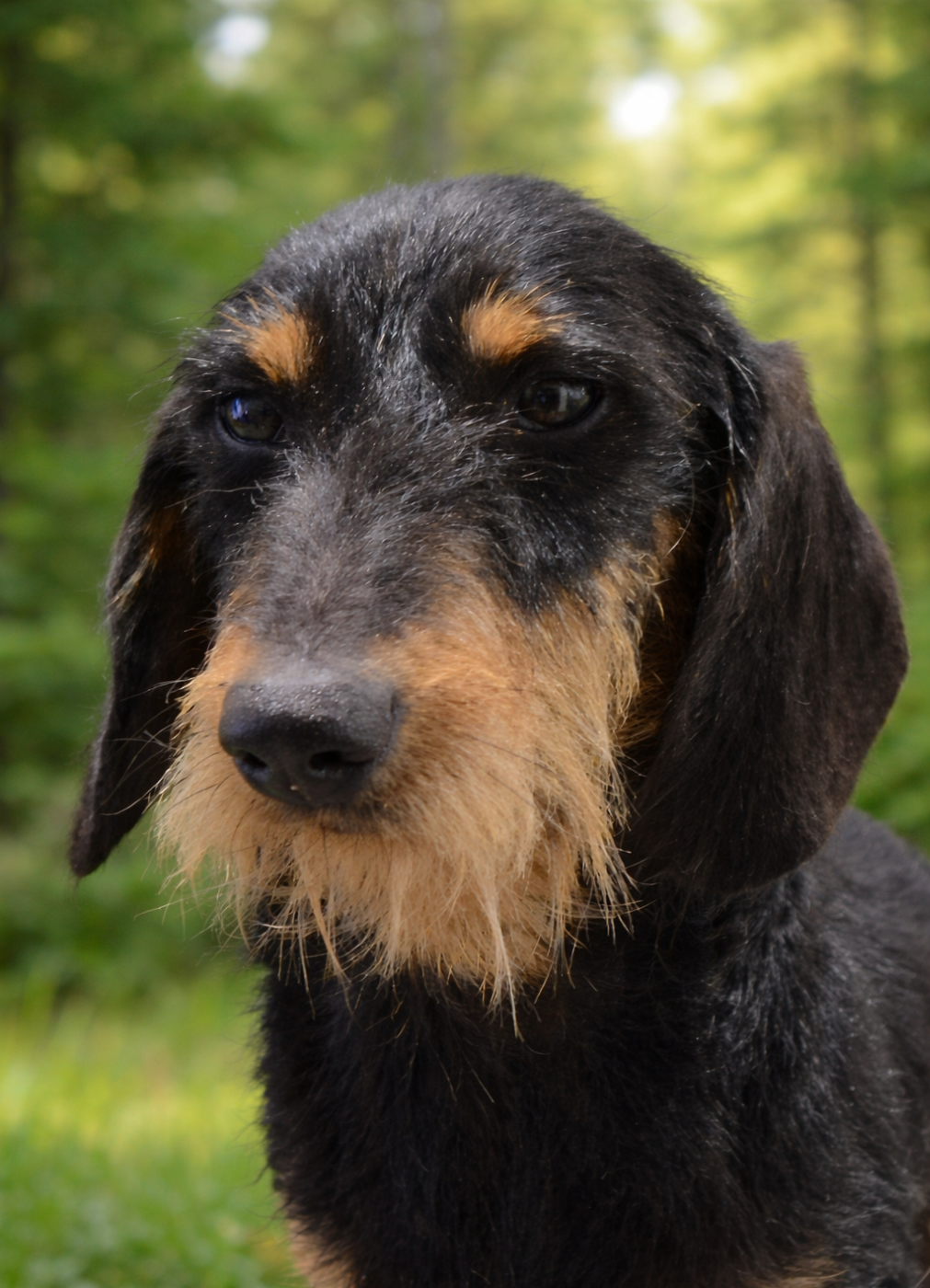 Publication : Des Chasseurs Du Temps 