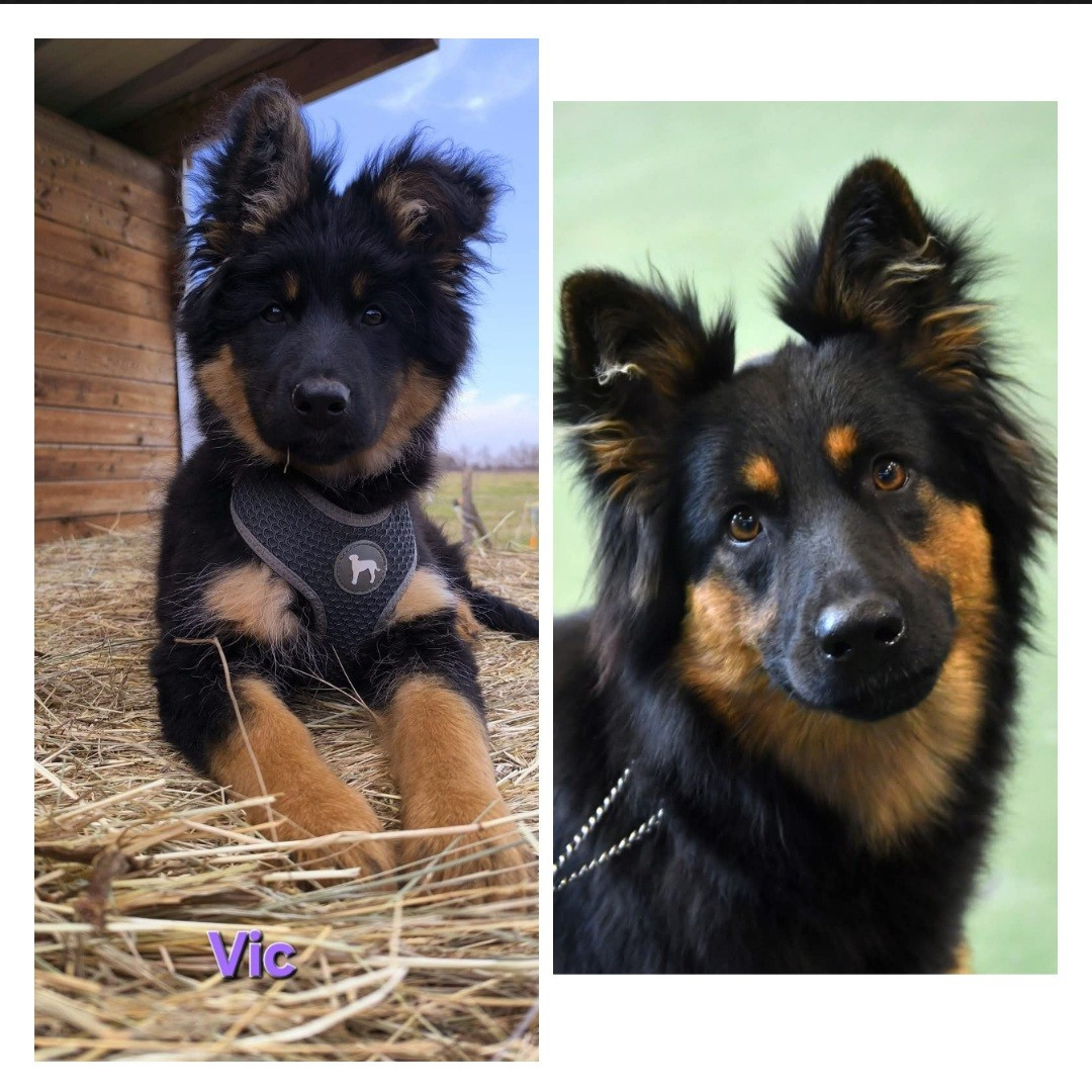 Publication : Du Moulin Des Coissous