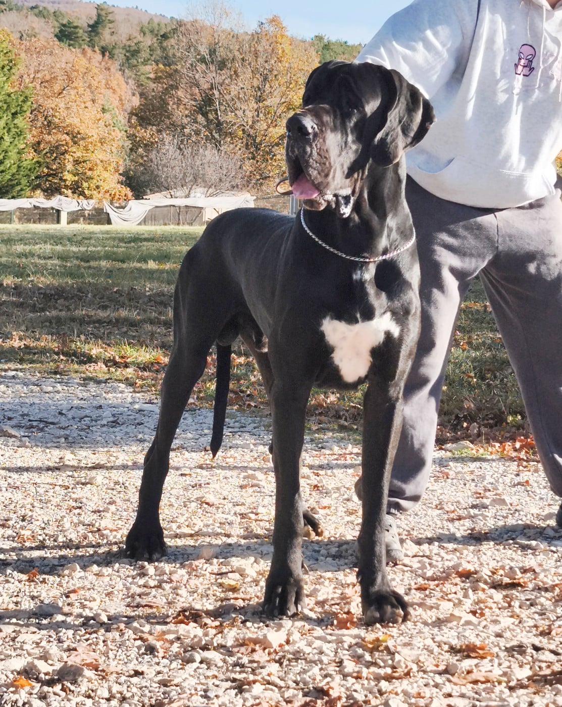 Publication : de l'Outsaïna Auteur : Floriane Esposito