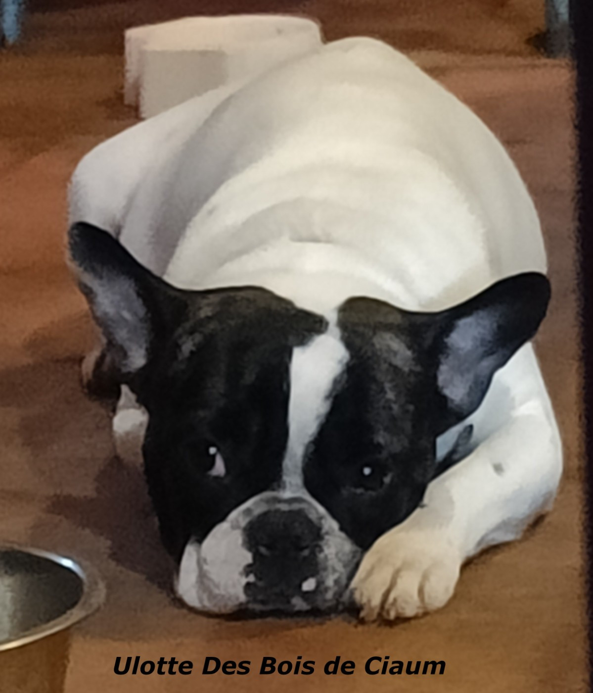 Publication : des bois de ciaum 