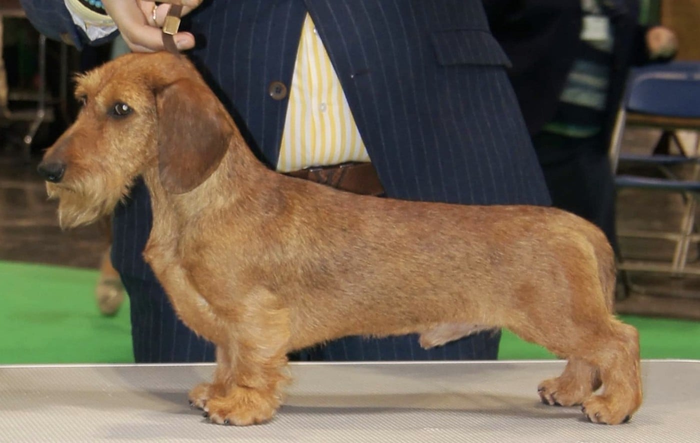 No time to lose vitoraz