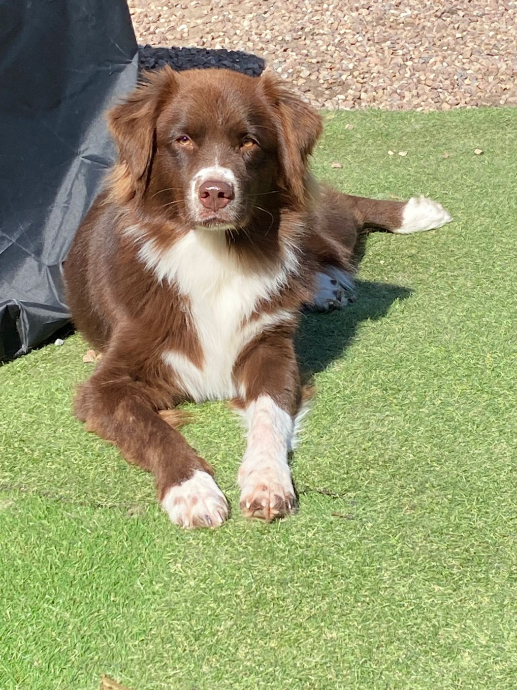 Publication : The Legends Of Life 