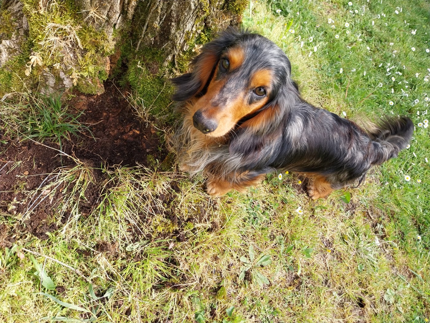 Publication : Du Vent Des Vignes 