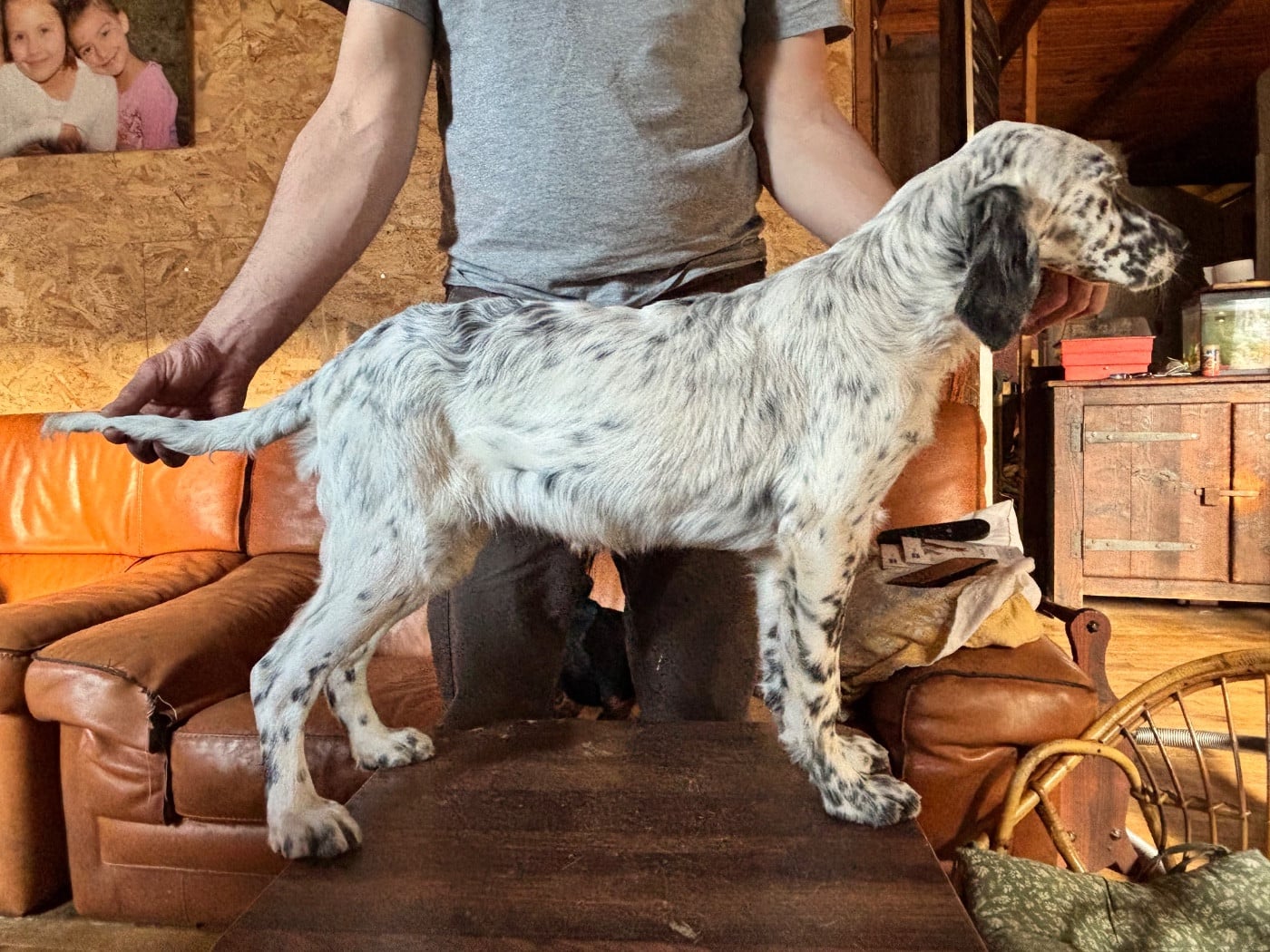 Publication : De La Terrible Menée 