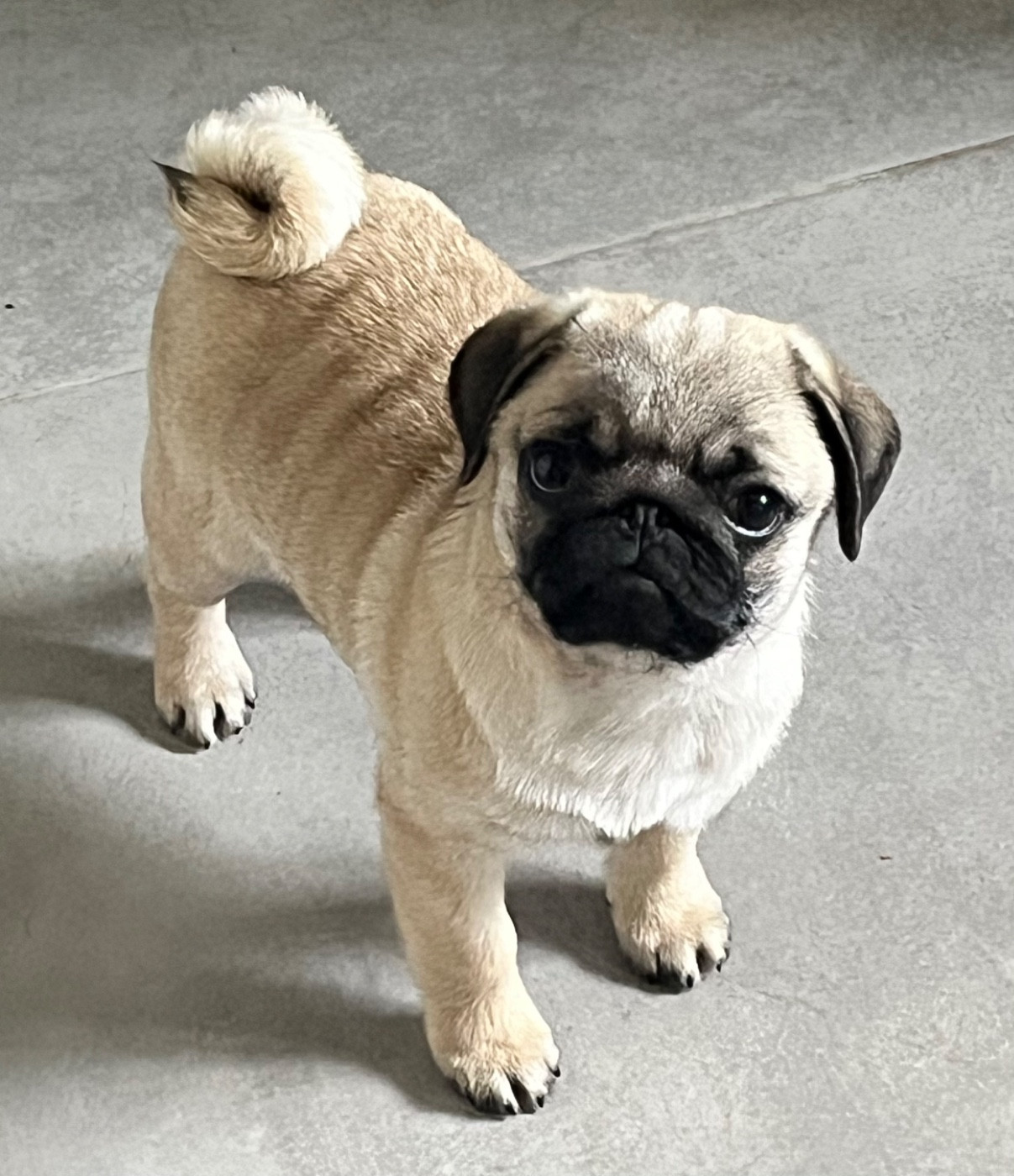 Publication : New Soul 