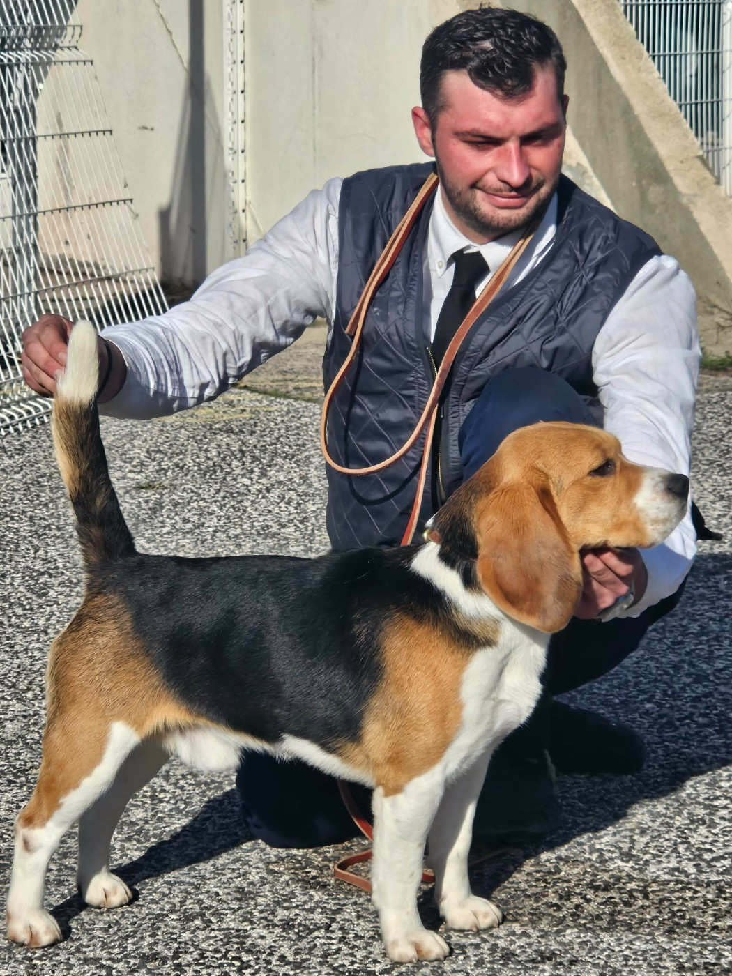 Publication : Des Courants De La Selle 