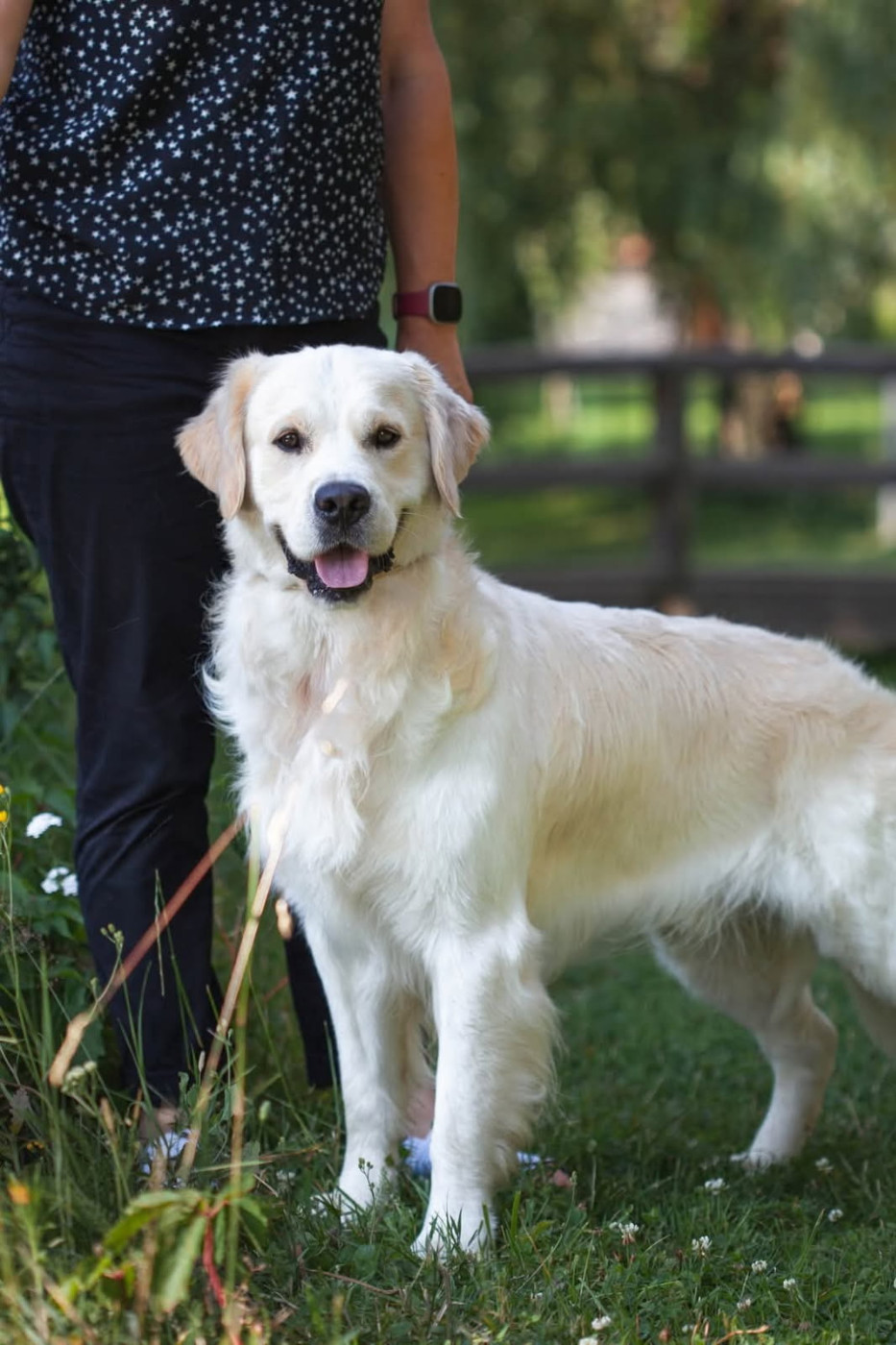 Publication : (Sans Affixe)