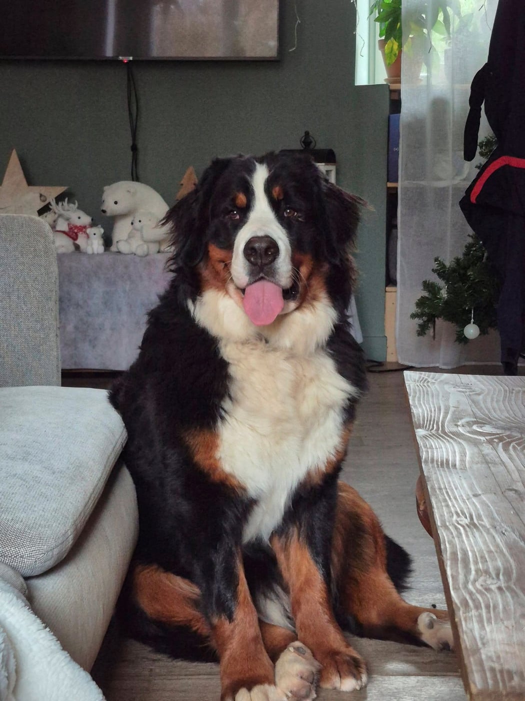 Publication : De L'Empreinte De Baya 