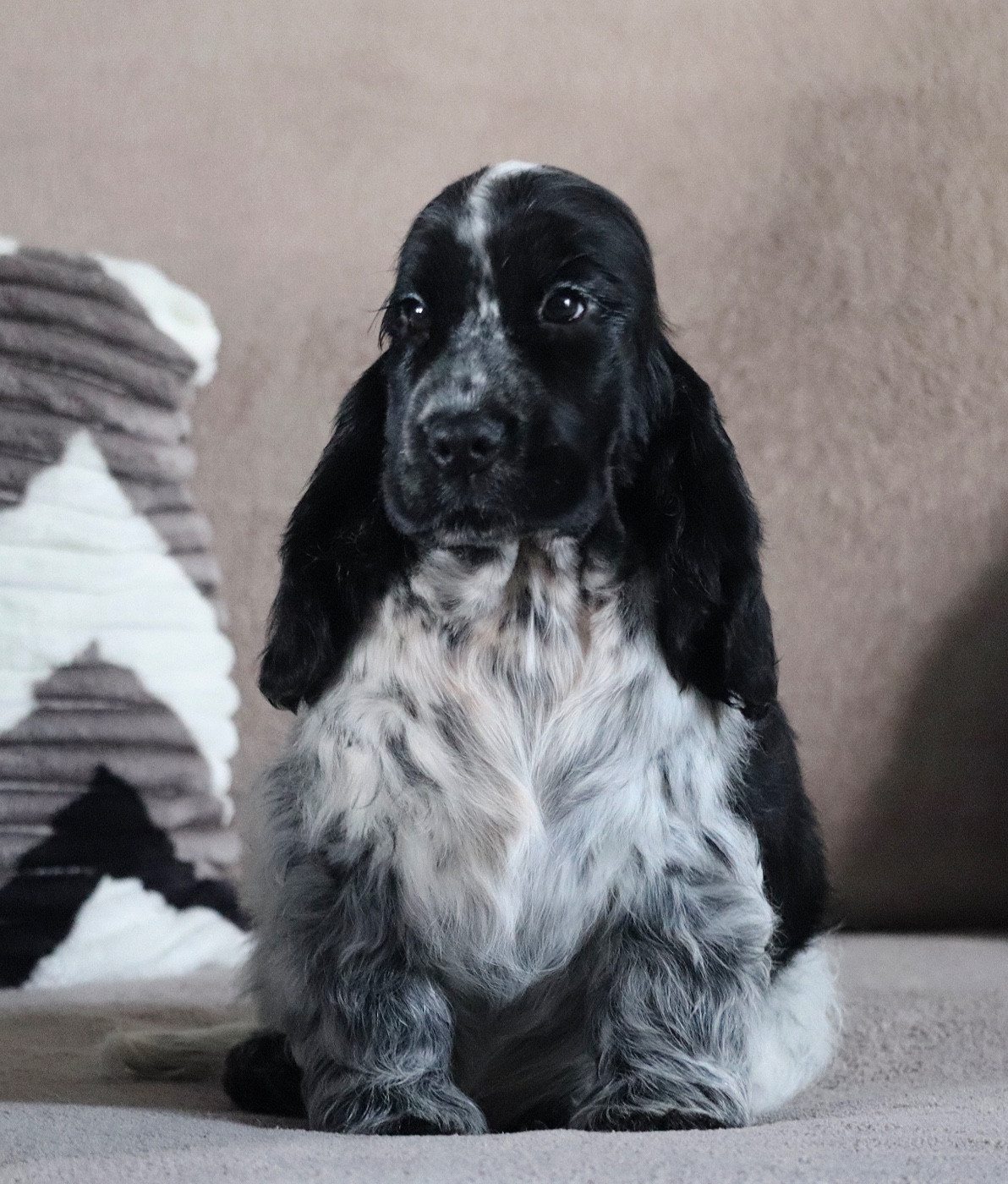 Publication : of Never Say Goodbye Auteur : Lorraine Fortin