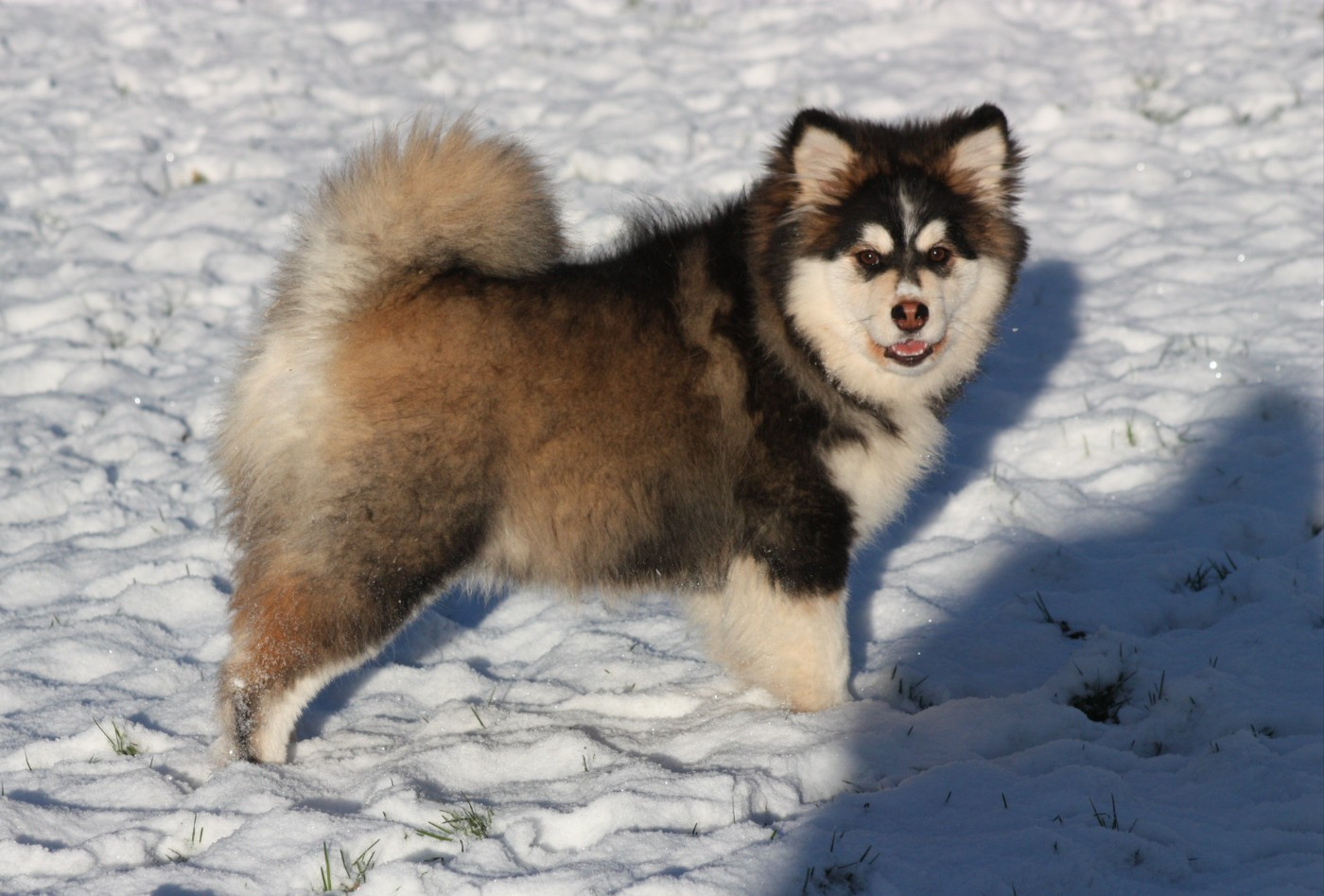 Publication : du Domaine D'Arinella Bianca Auteur : Laurence