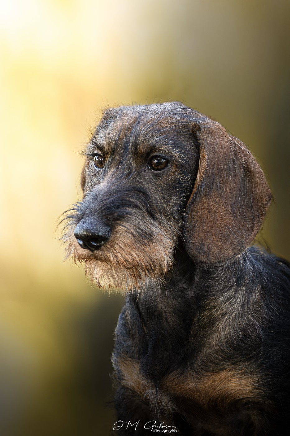 Publication : Olop Auteur : J'M Gabrion