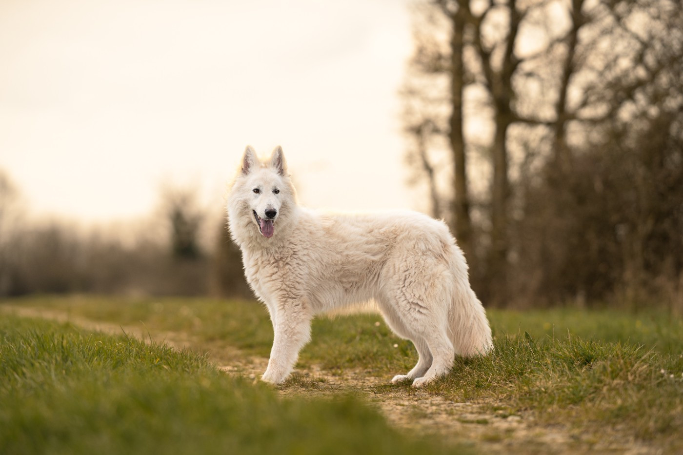 Publication : Du Domaine De La Maisonnette 