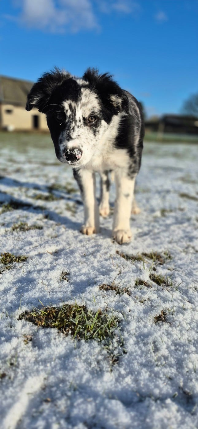 Publication : De Nety Paradise 