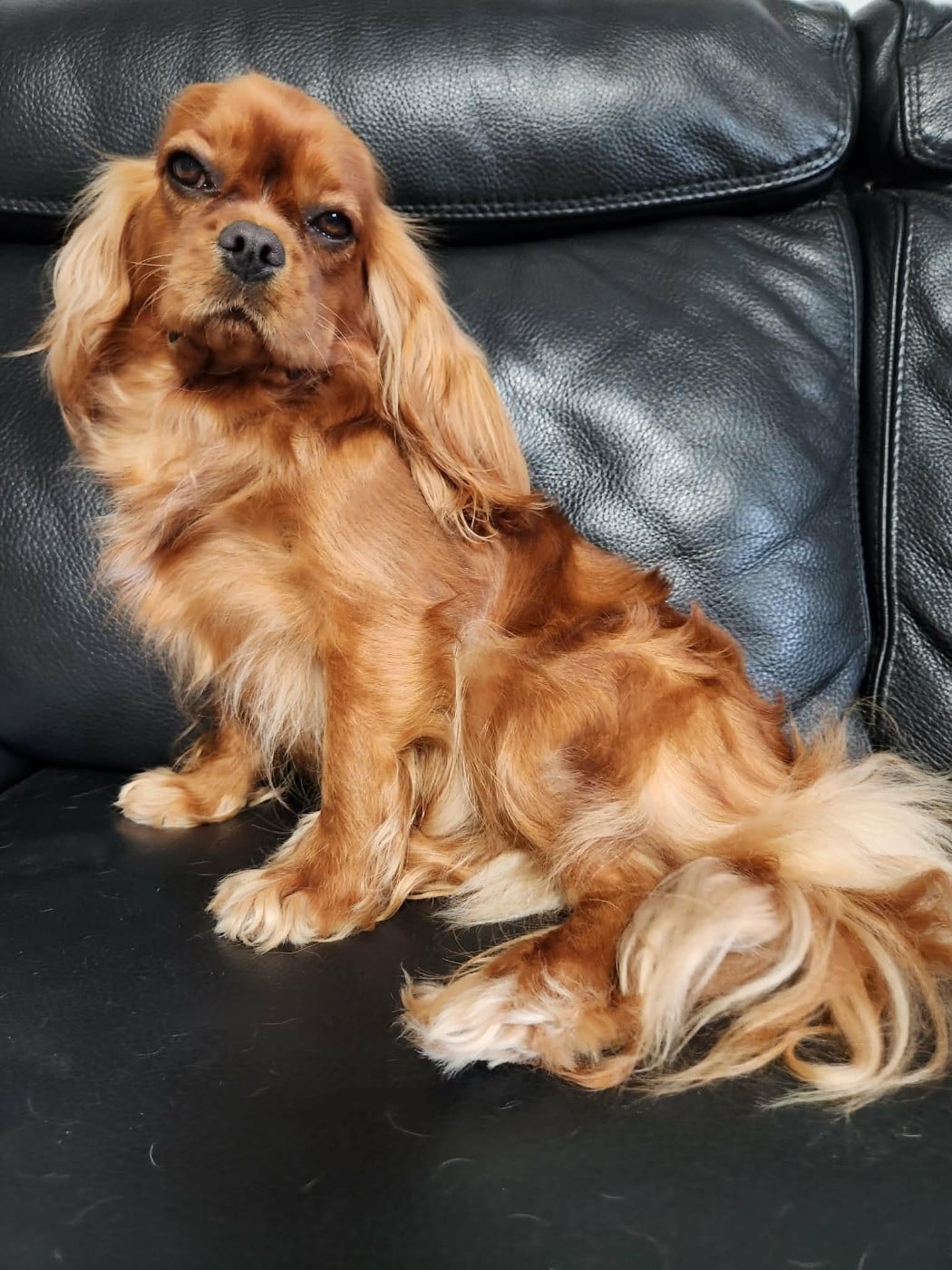 UNE PIN-UP du Royaume des Anges