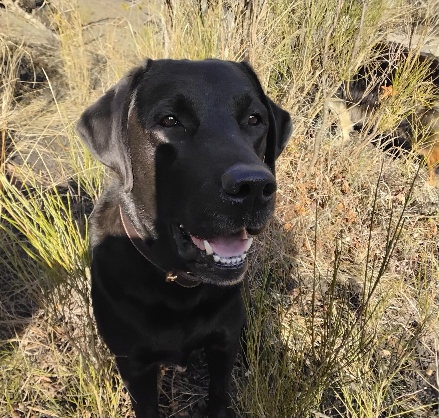 Publication : Les Constellations Du Coeur Auteur : Mme Marion Fages