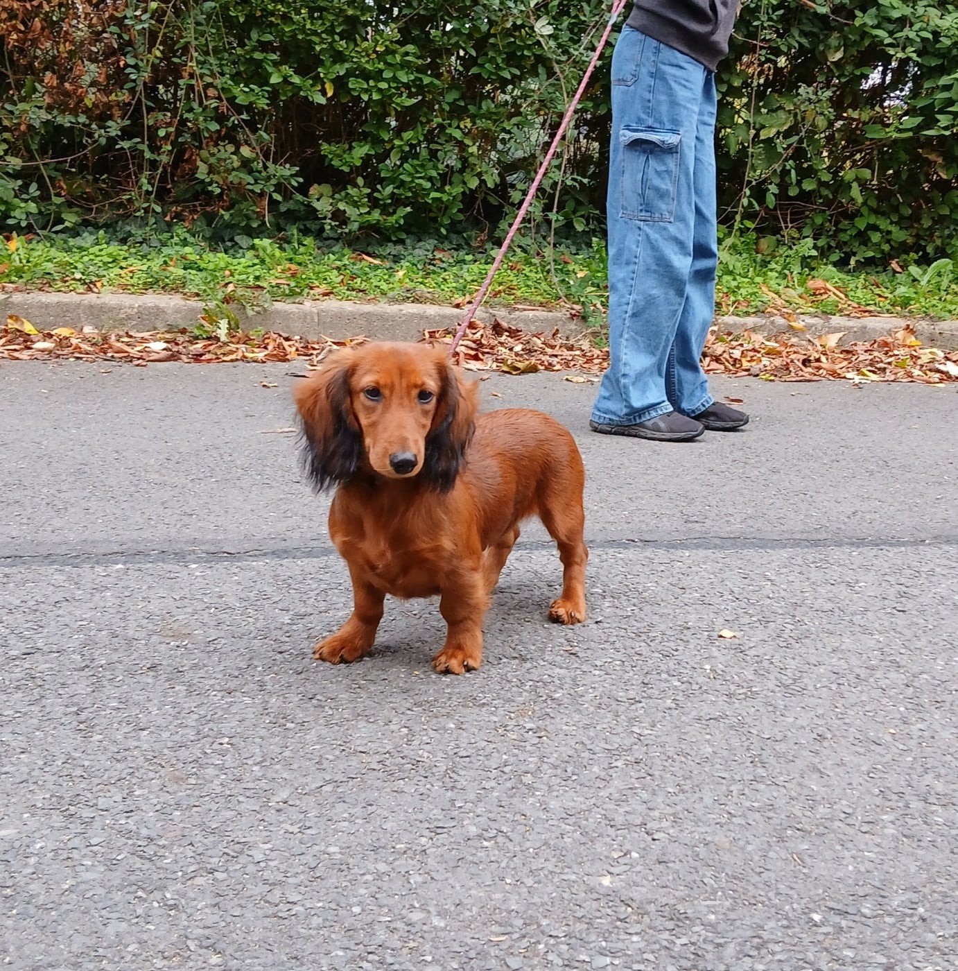 Publication : Du Domaine Du Sautadet 