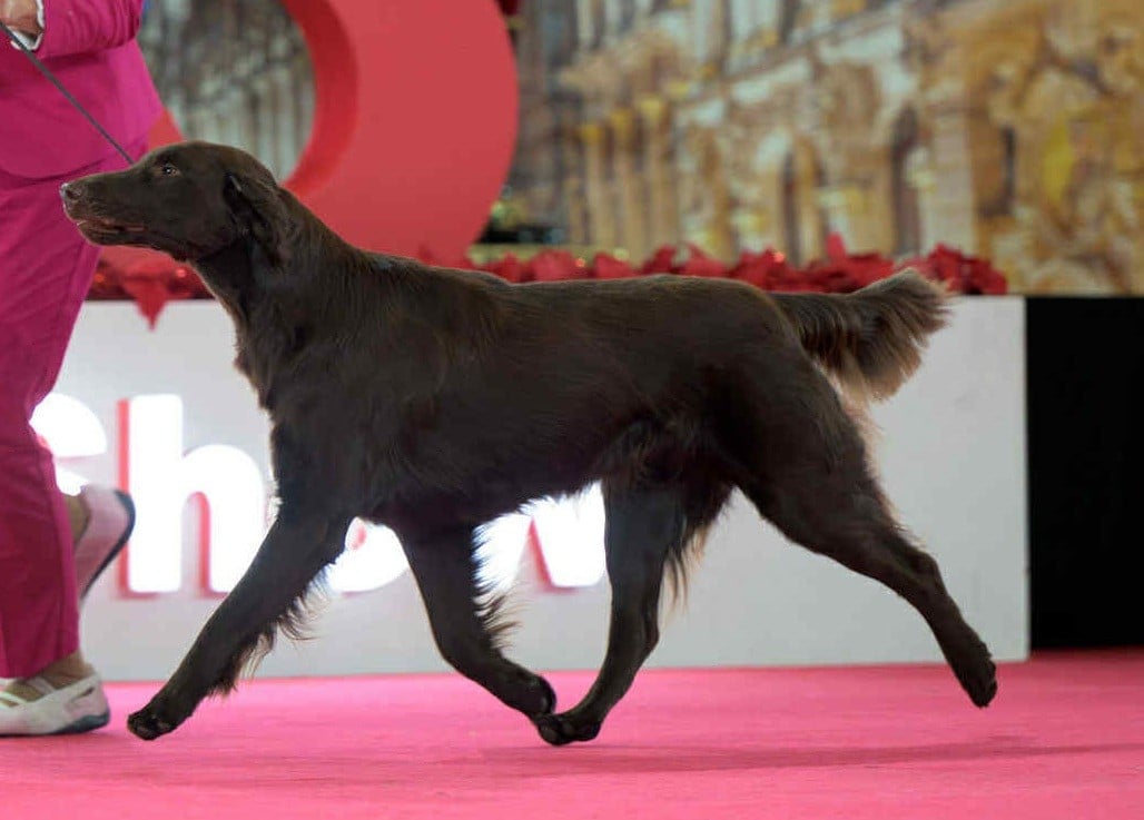 Publication : Du Domaine De Maliba Auteur : DDM