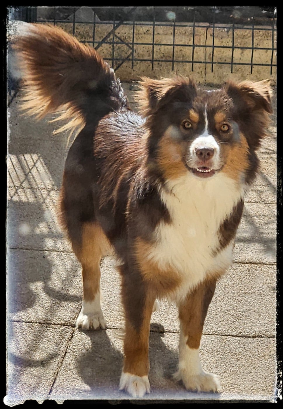 Publication : Du Diamant Des Neiges 