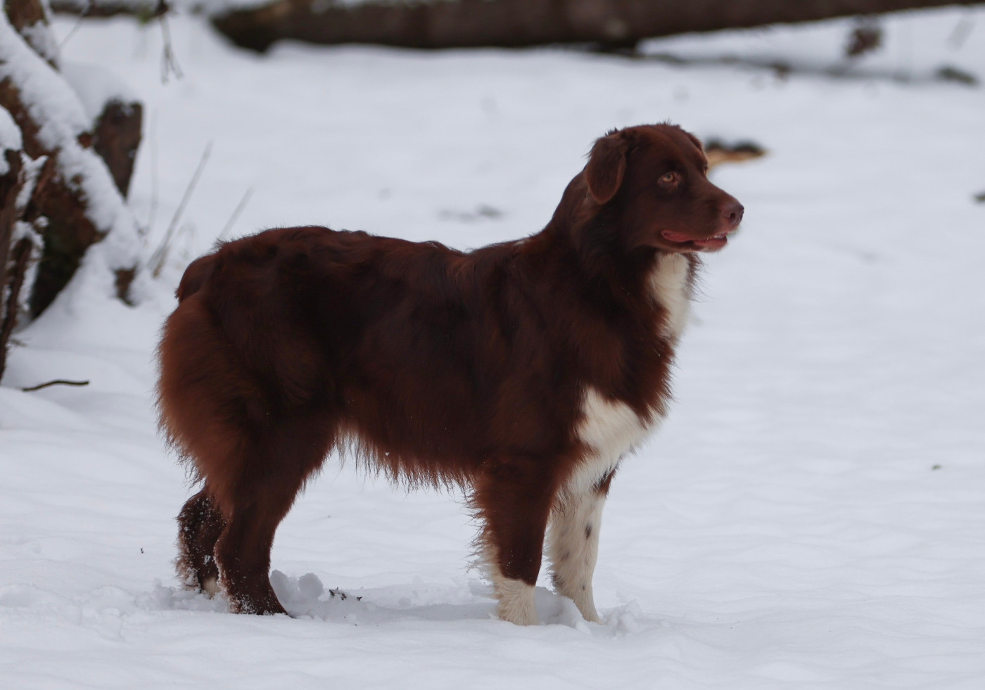 Publication : Des Gardiens Du Mermoz 