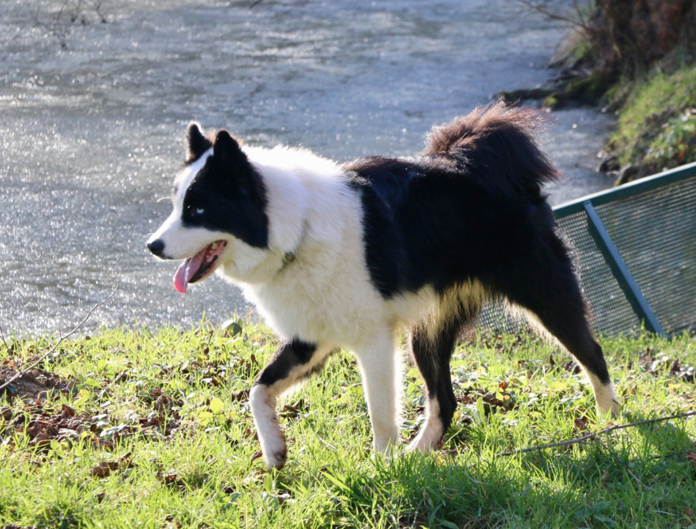 Publication : The Stars Of My Soul 