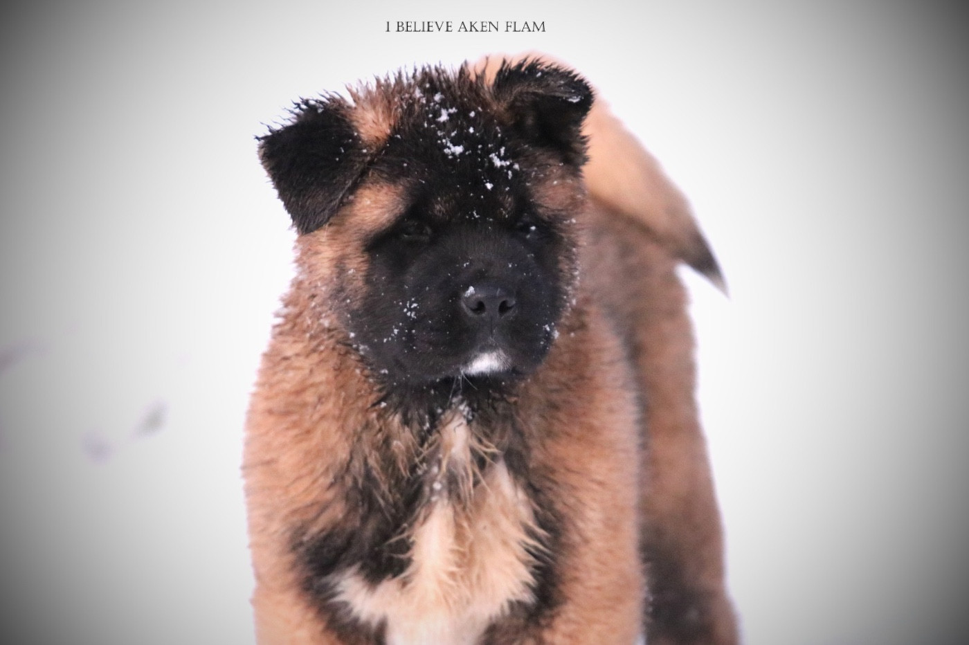 Publication : I Believe Aken Flam Auteur : Cyriel ROGNON