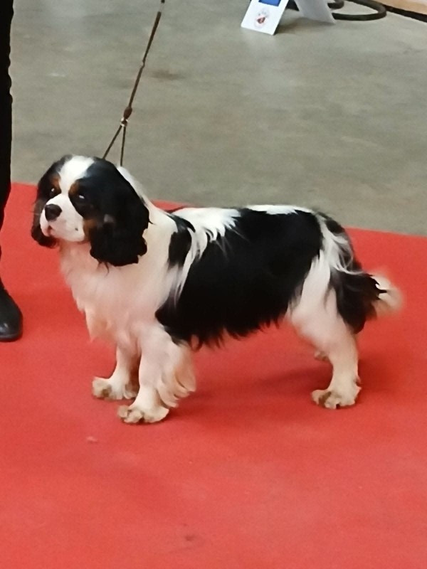 Publication : De La Maison D'herbouville Auteur : legois matilde