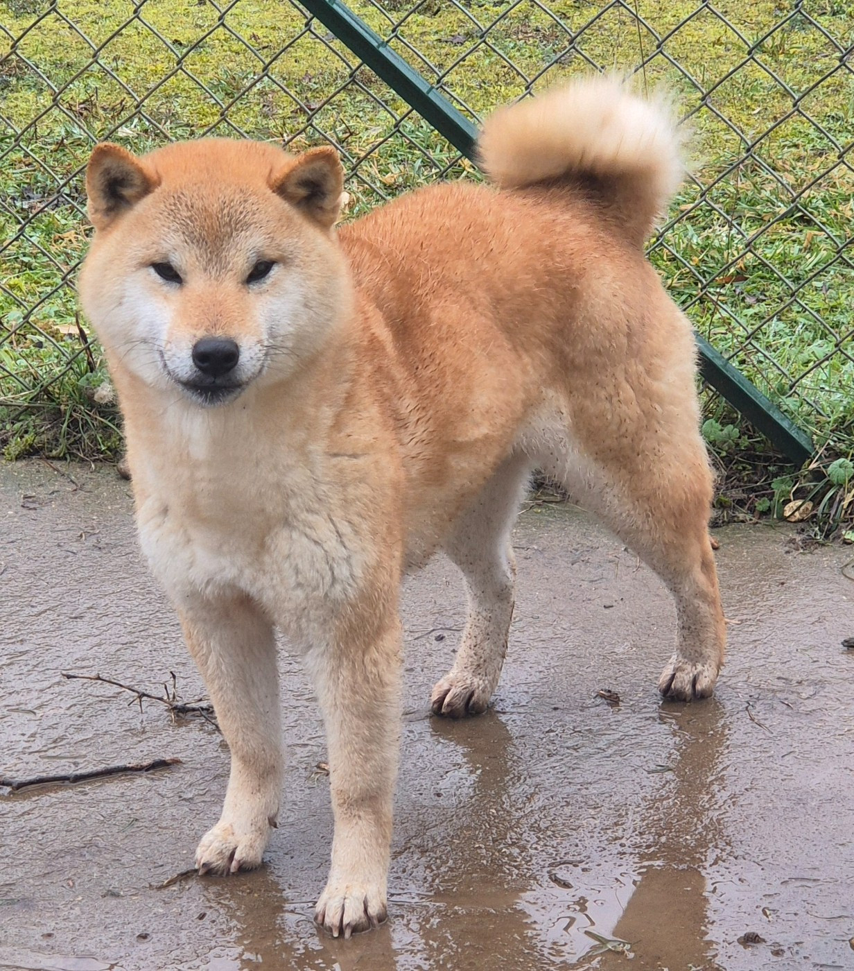 Publication : de dame nature 