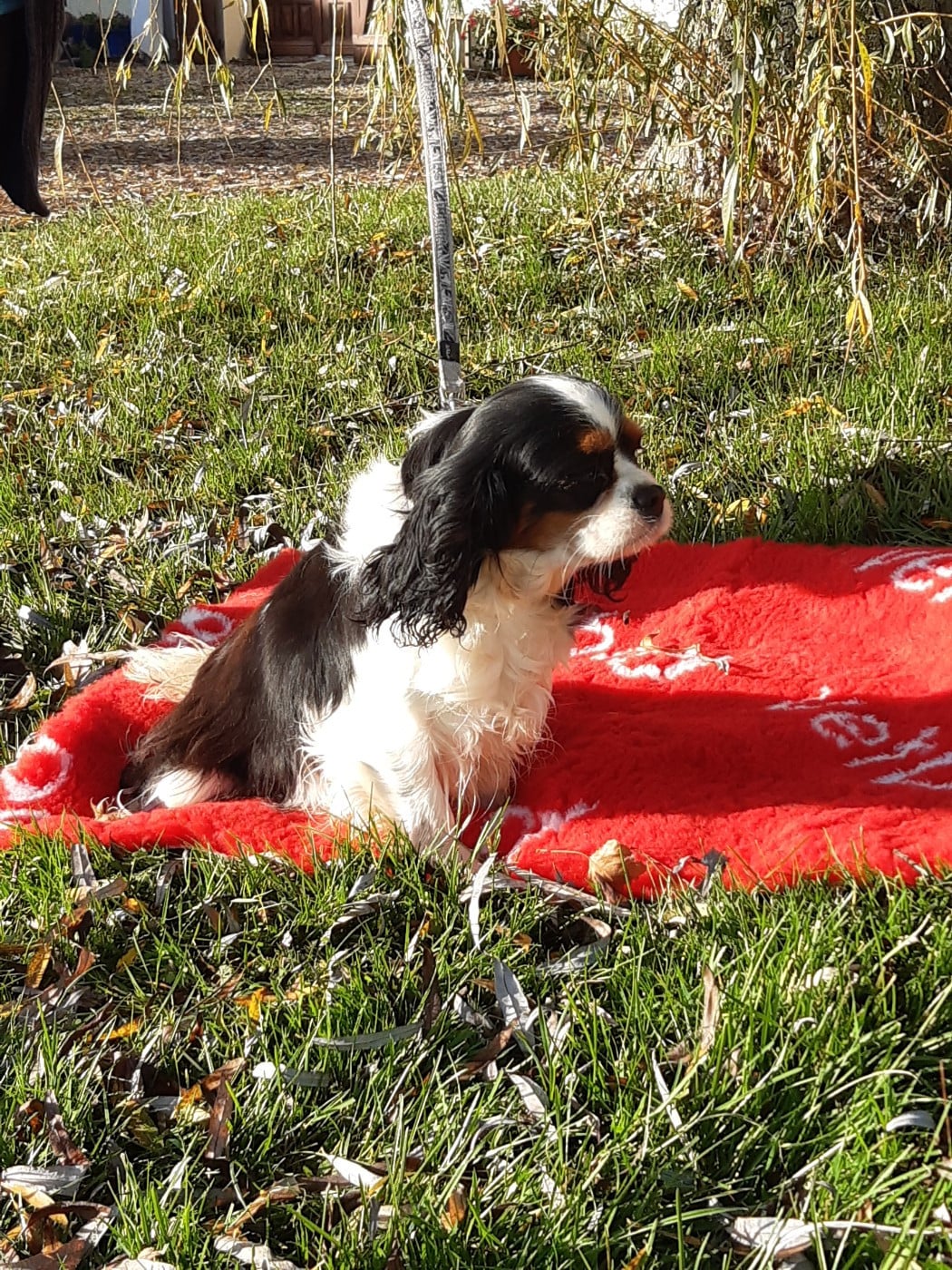 Publication : Du clos de larpege