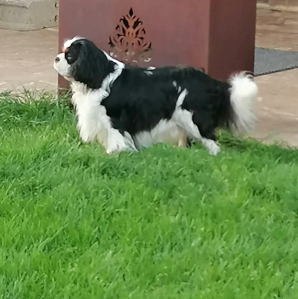 Publication : De La Maison D'herbouville