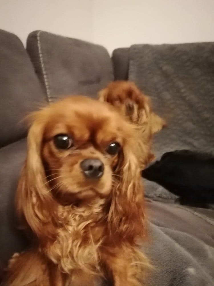 Publication : De La Maison D'herbouville