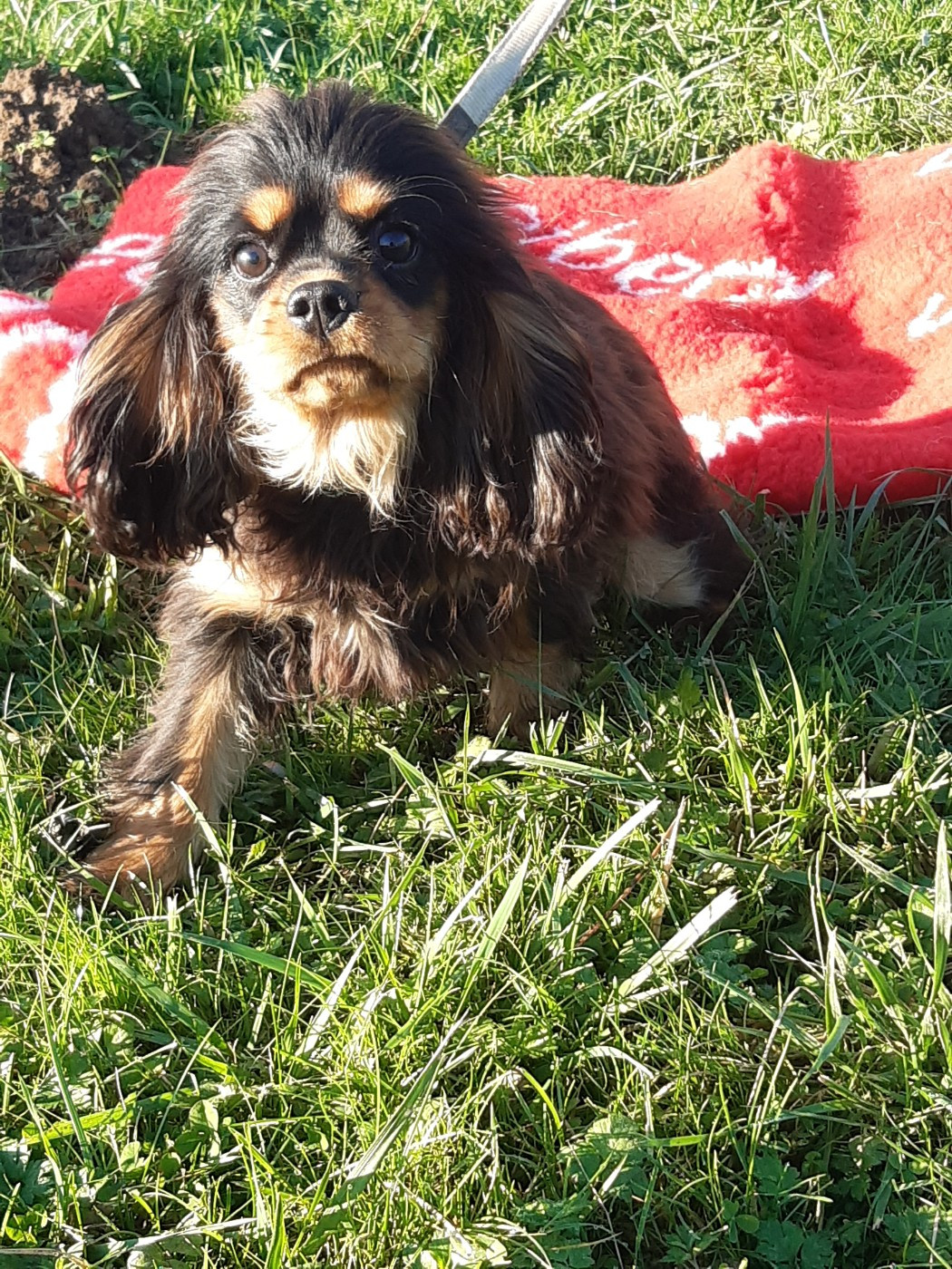 Publication : Du clos de larpege 