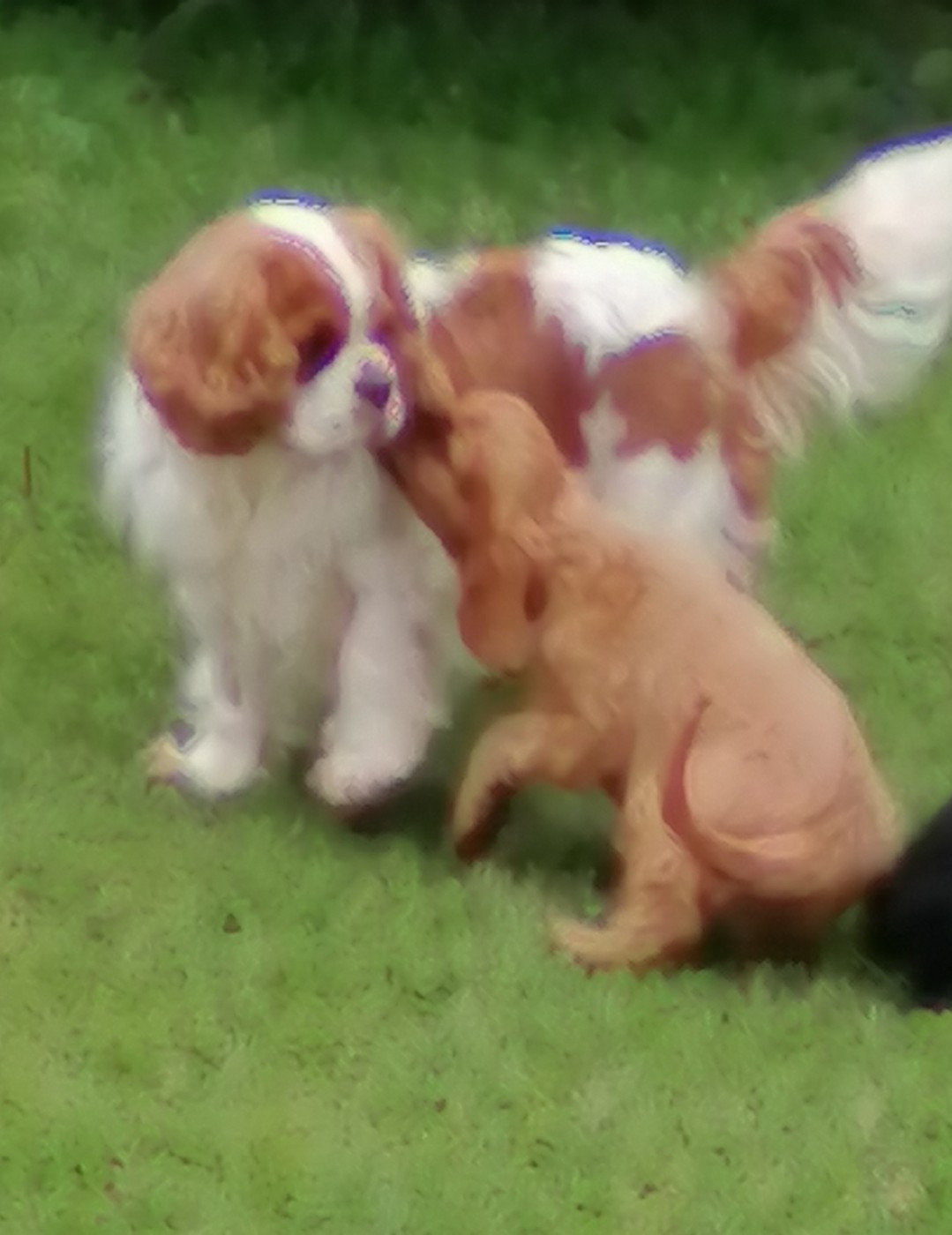 Publication : De La Maison D'herbouville 