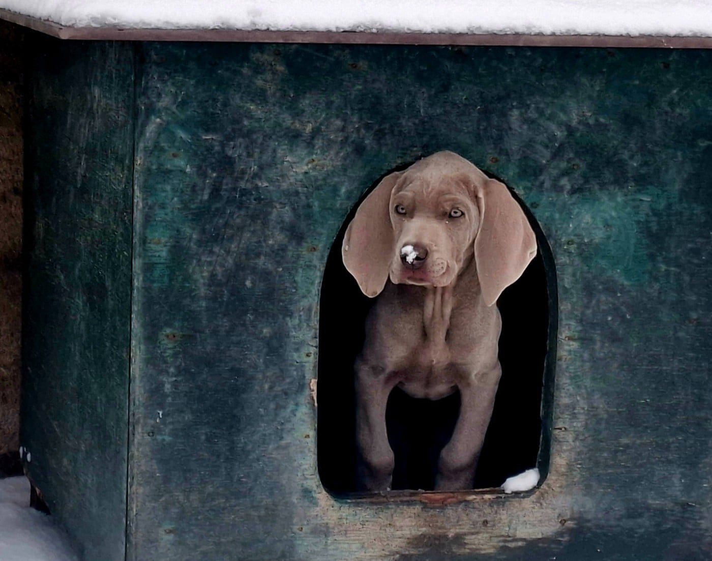 Publication : Du Cercle De Léma Auteur : le Cercle de Léma