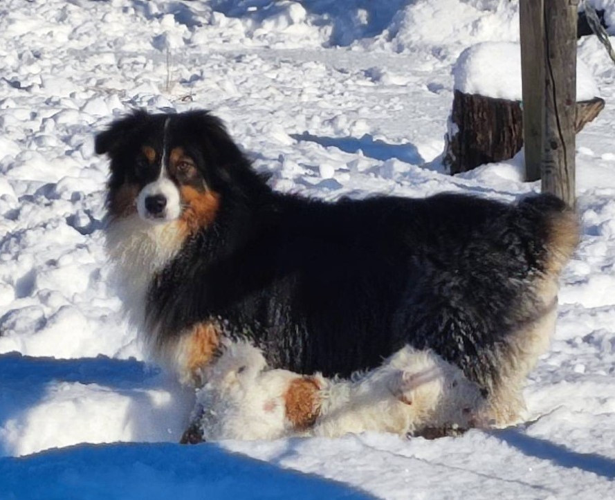 Publication : Du champ de l'ormeau