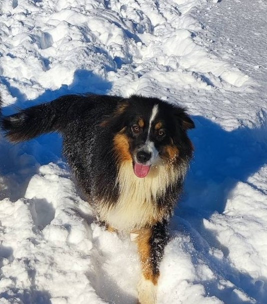 Publication : Du champ de l'ormeau