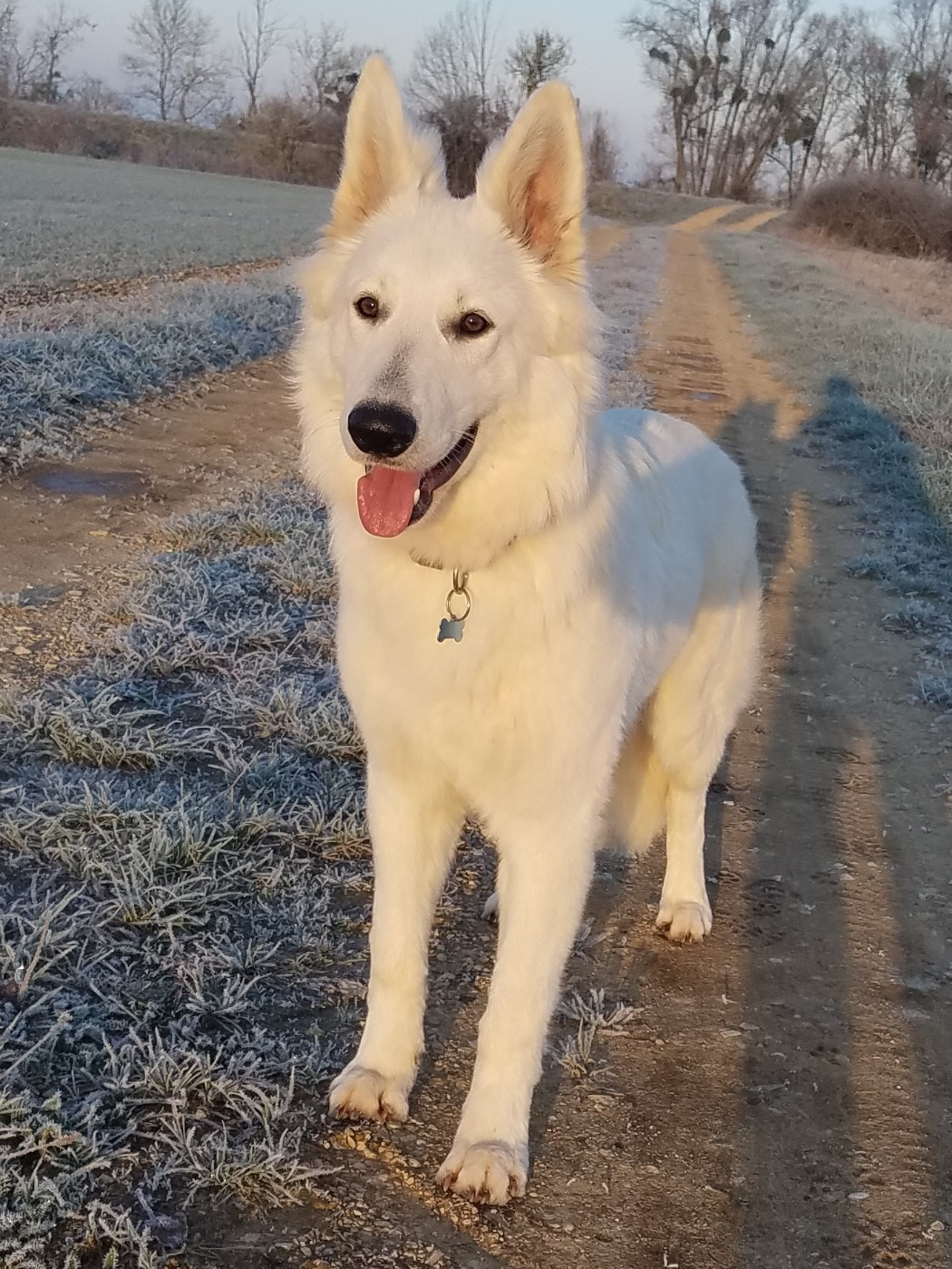 Publication : De La Légende Boréale 