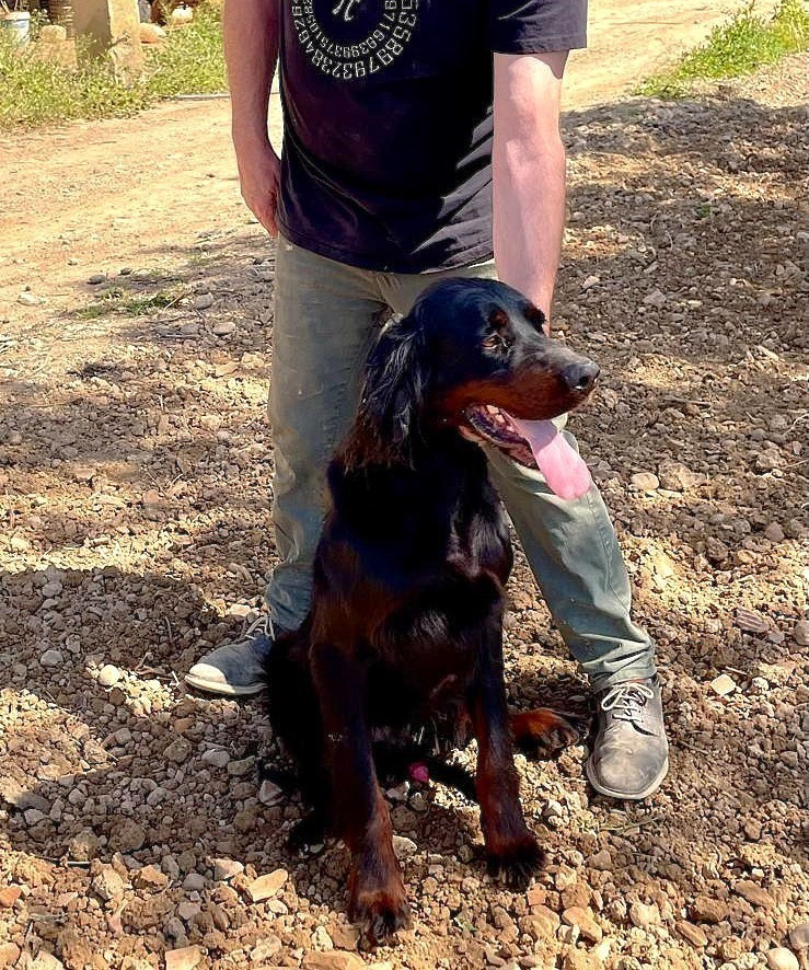 Publication : Valle del Cinca Auteur : Jesus Bernad Gil