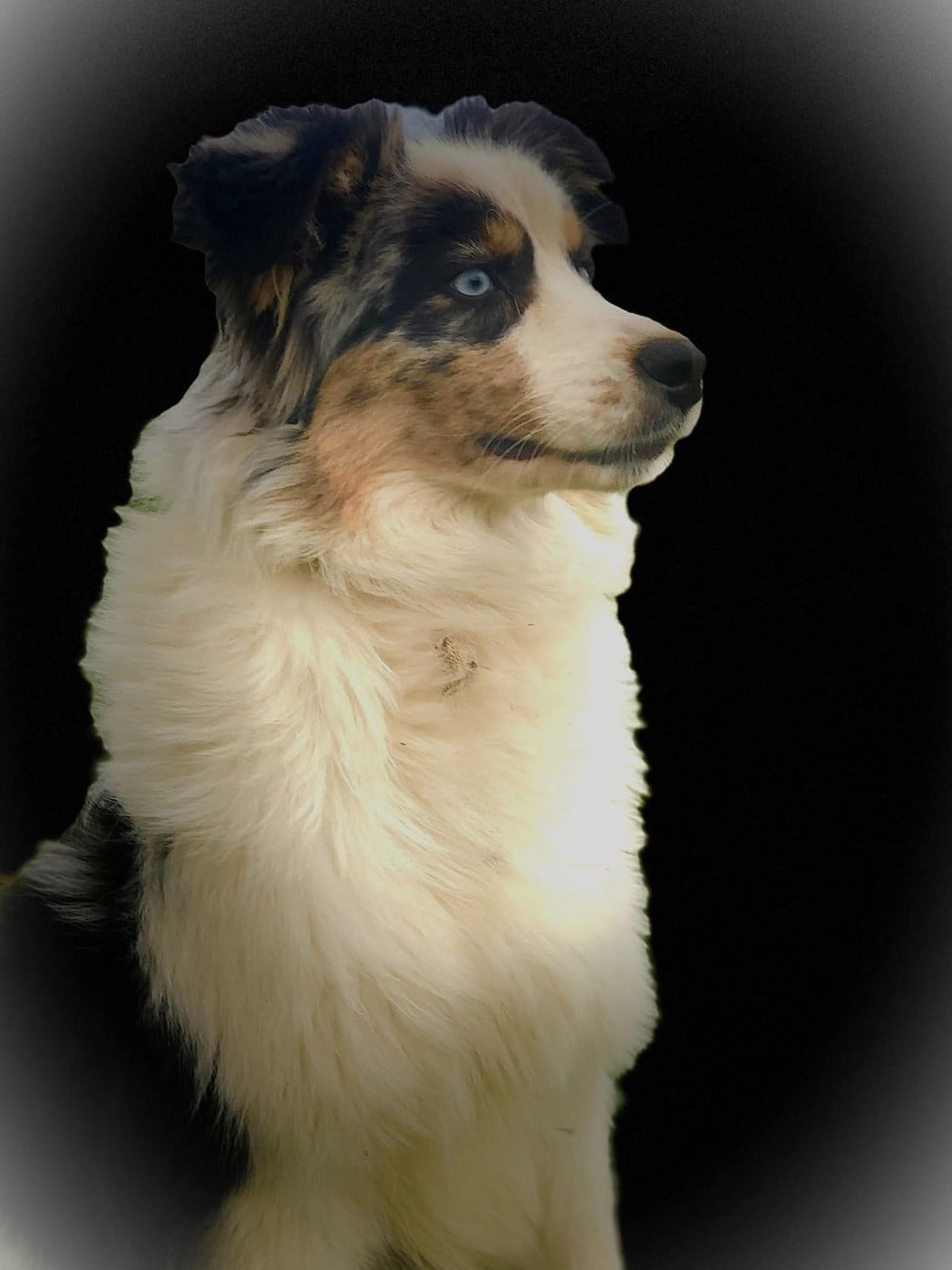 Publication : de l'Amour de l'Arc en Ciel 