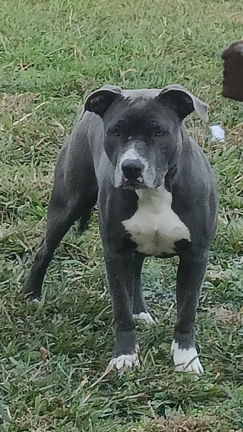 Publication : (Sans Affixe) 