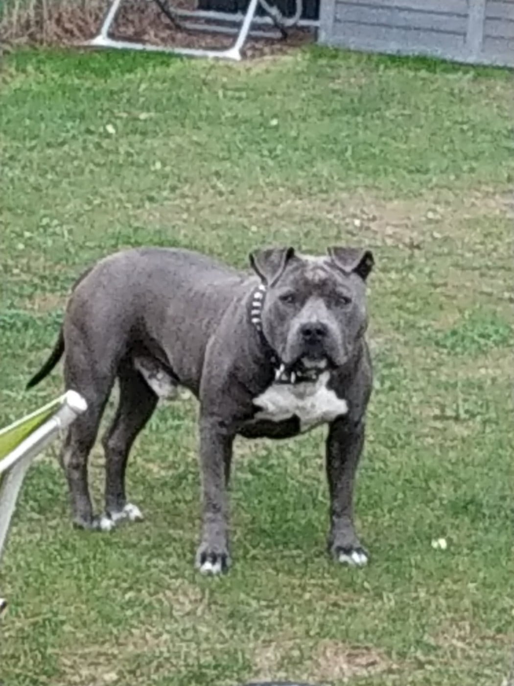 Publication : (Sans Affixe) 