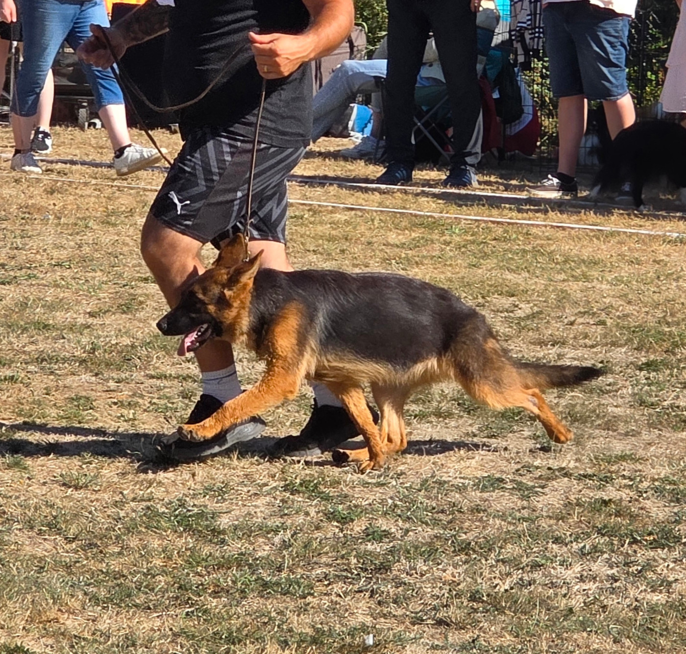 Publication : Domaine de Jules