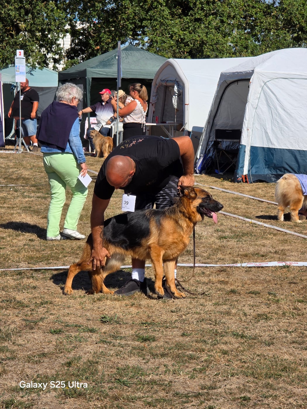 Publication : Domaine de Jules 