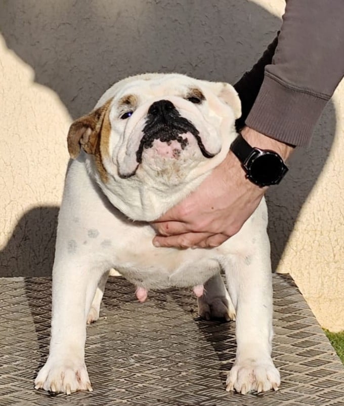 Publication : des Roxa-Lina 