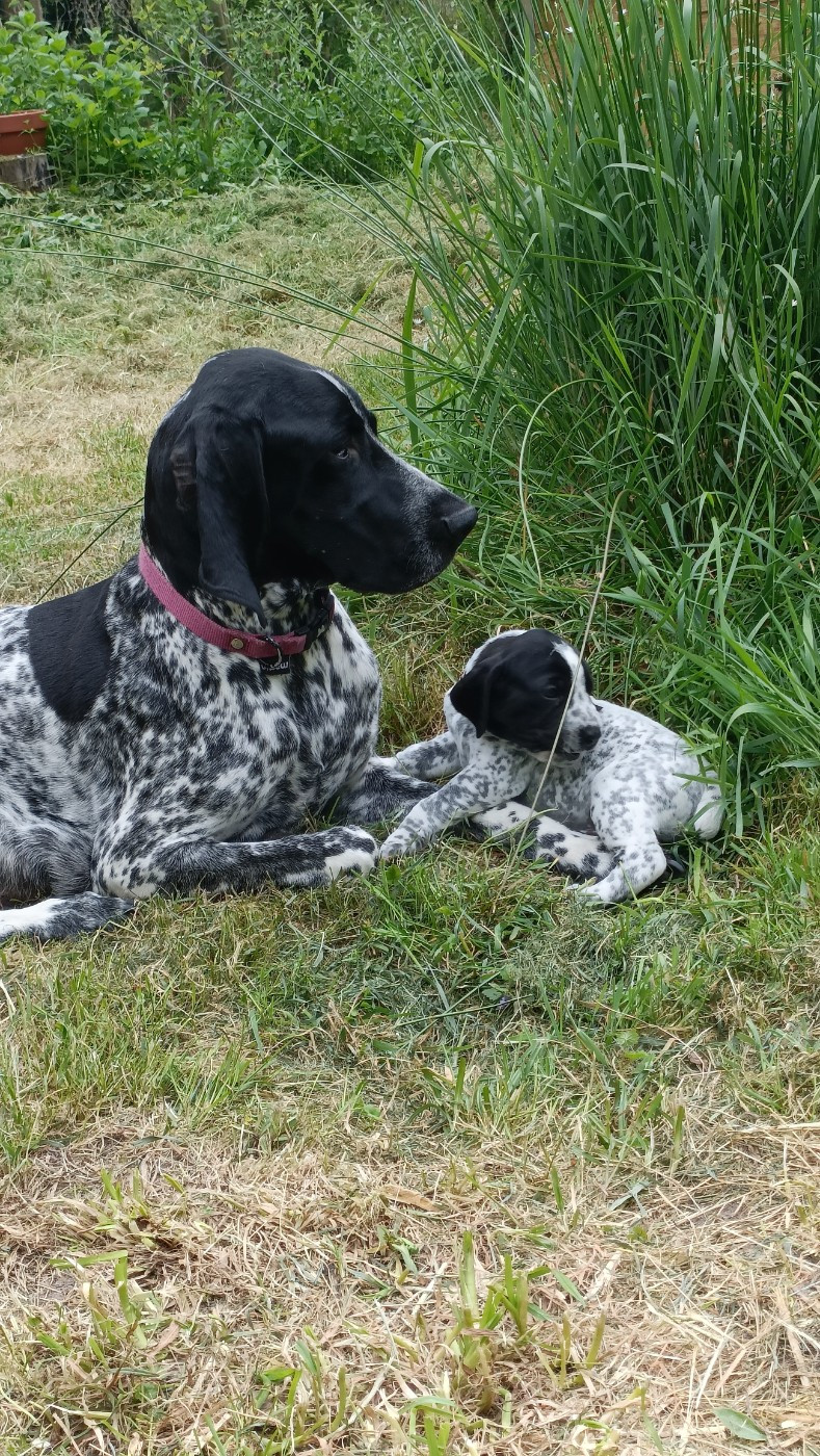 Publication : du Bruil Saint Amand 