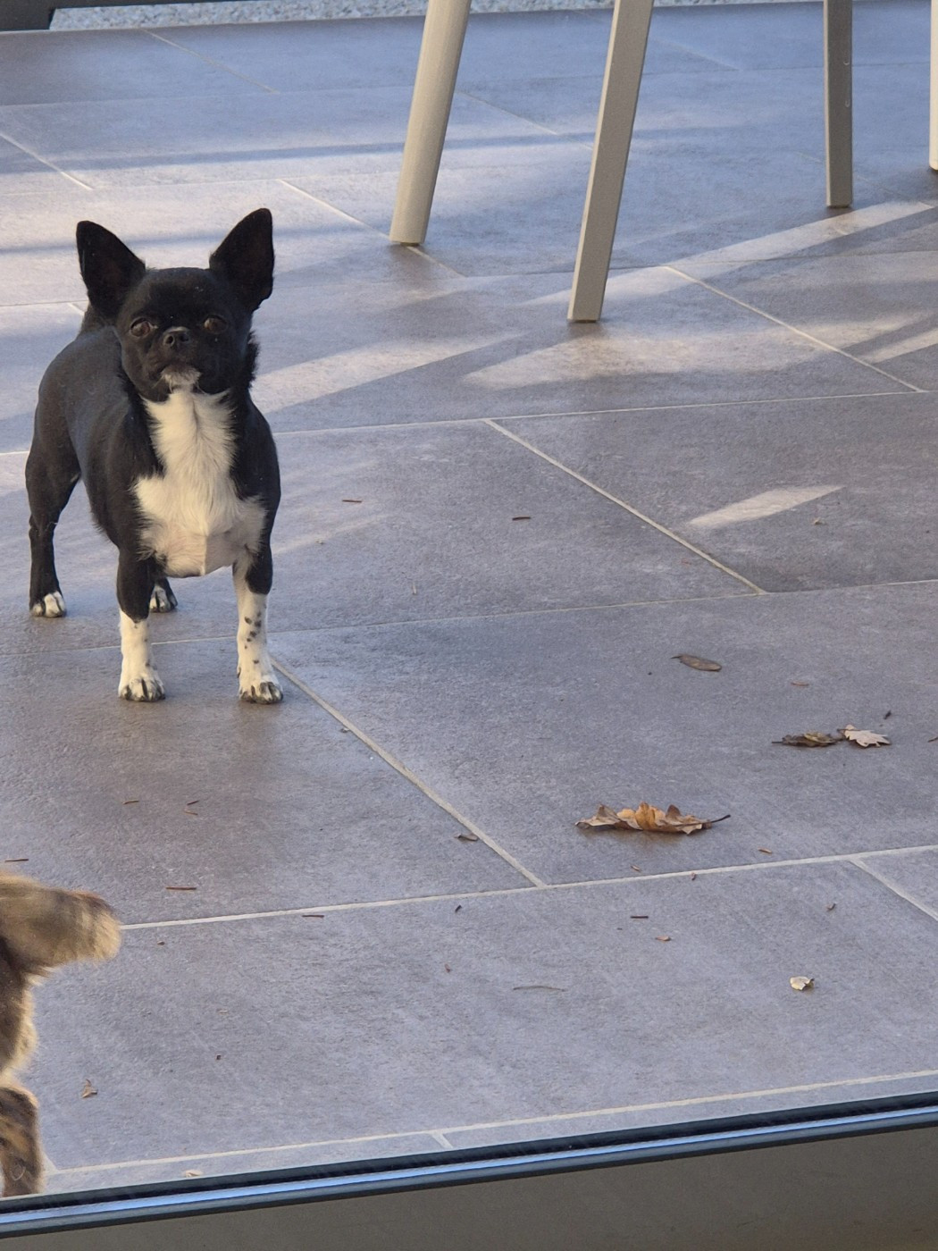 Publication : (Sans Affixe) 