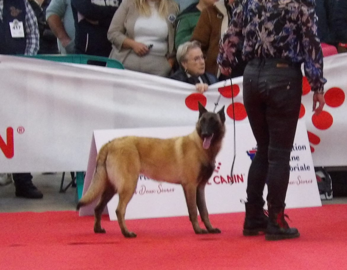 Publication : De La Butte Des Crocs Blancs 