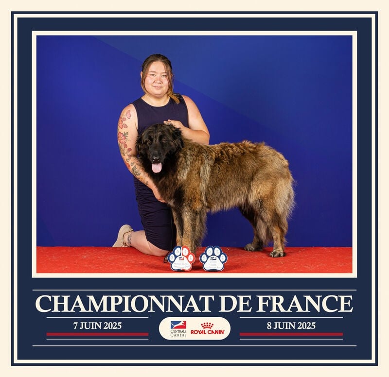 Publication : Da Quinta Francesa 