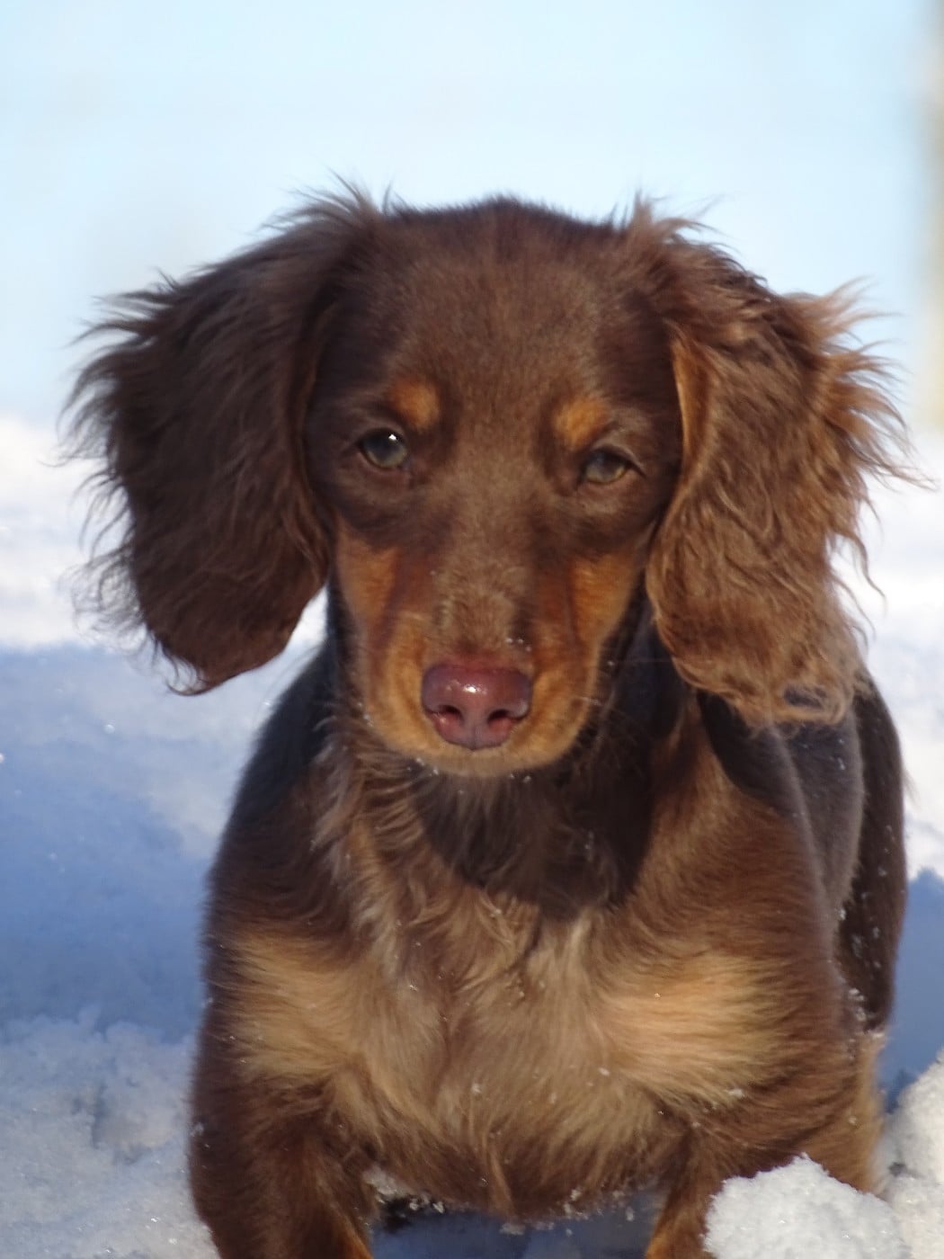 Publication : D'Un Seul Regard Suffit Auteur : Myriam Jahier