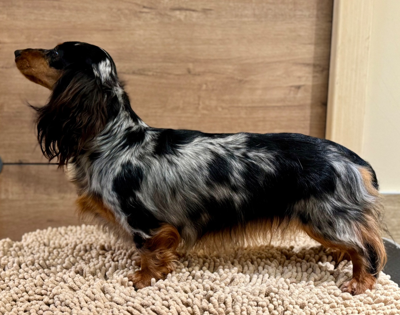 Publication : De Jaykay Land 