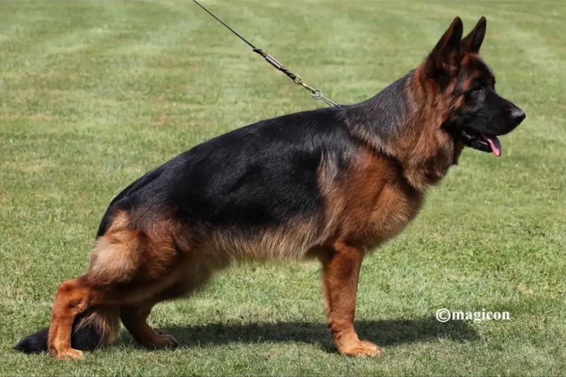 Publication : du val d'Anzin